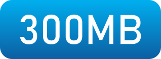 300MB